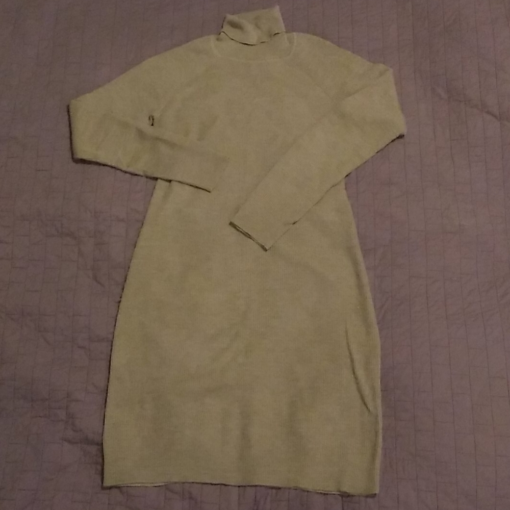 Garnet Hill merino wool turtleneck dress